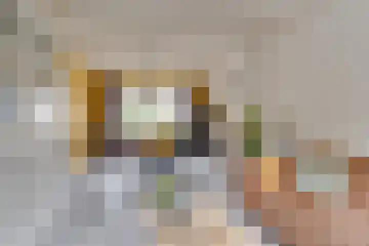 Vondellaan 4 Woudenberg thumbnail 14