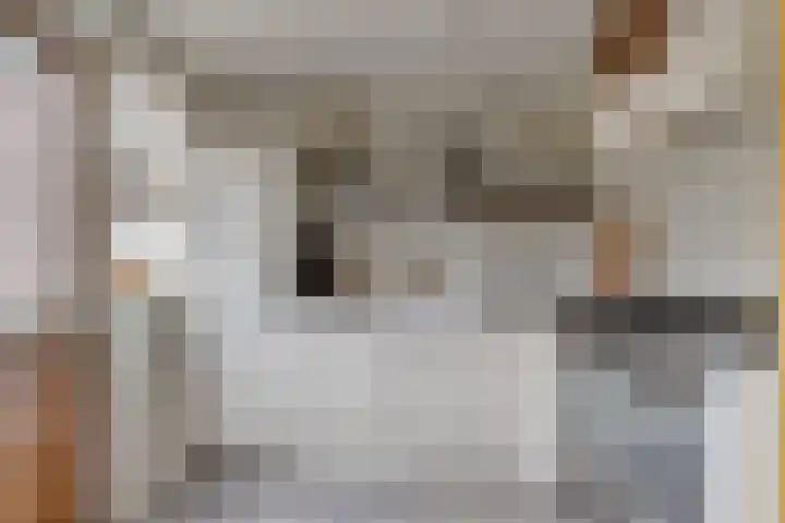 Vondellaan 4 Woudenberg thumbnail 19