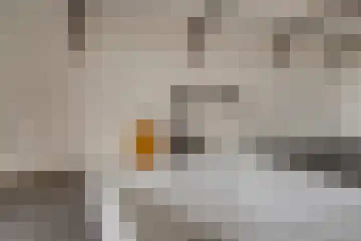 Vondellaan 4 Woudenberg thumbnail 21