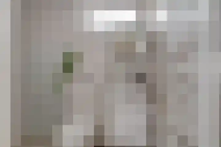 Vondellaan 4 Woudenberg thumbnail 30