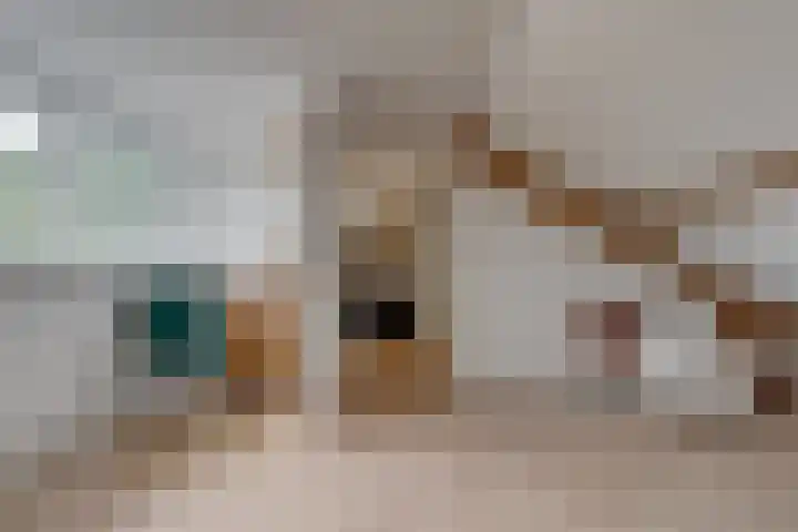 Vondellaan 4 Woudenberg thumbnail 35