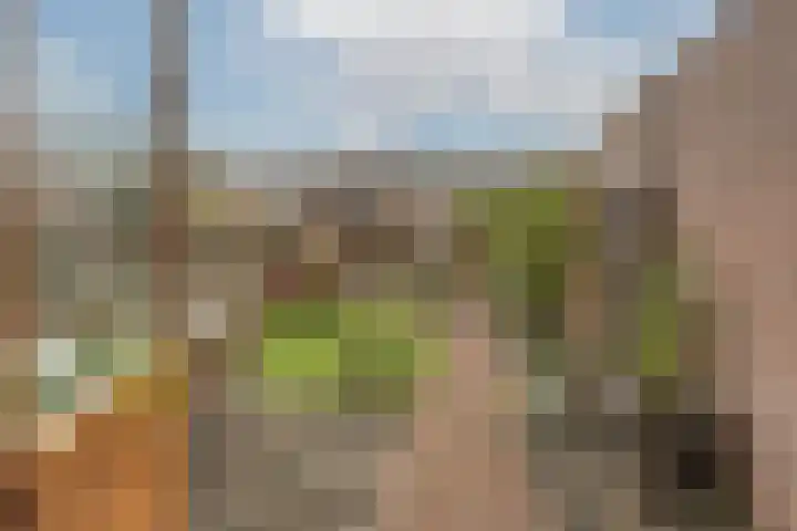 Vondellaan 4 Woudenberg thumbnail 37