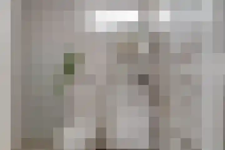 Vondellaan 4 Woudenberg thumbnail 4