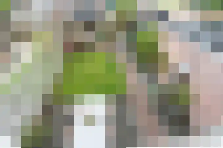 Vondellaan 4 Woudenberg thumbnail 41