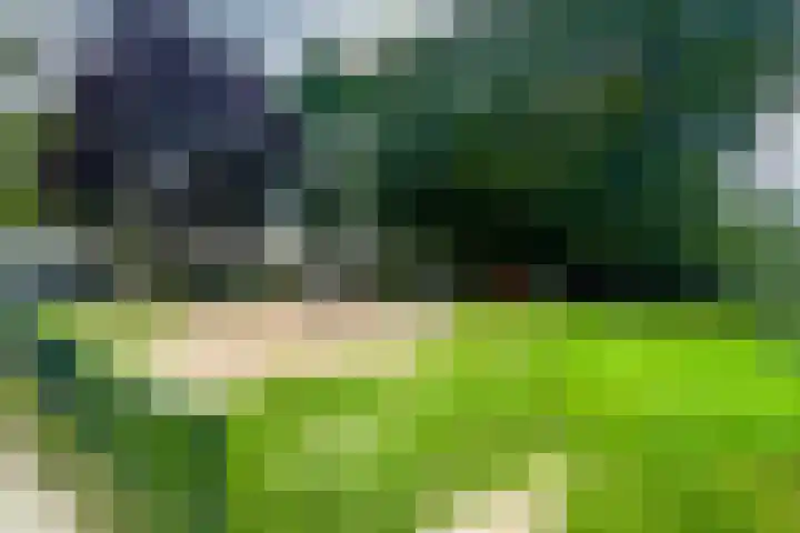 Vondellaan 4 Woudenberg thumbnail 43