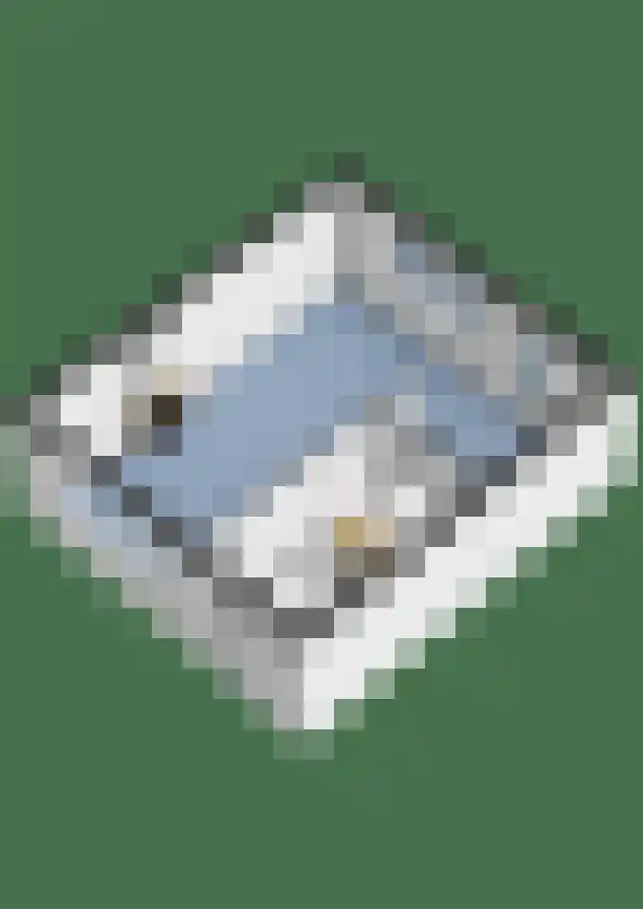 Vondellaan 4 Woudenberg thumbnail 45