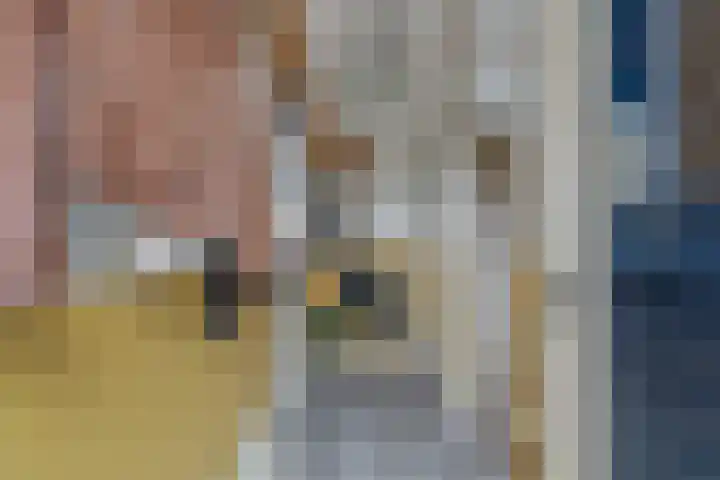 Vondellaan 4 Woudenberg thumbnail 9