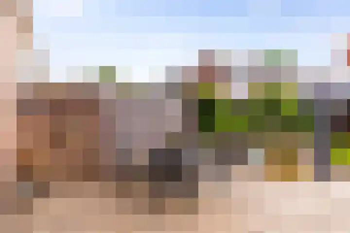 Vondellaan 40 Eerbeek thumbnail 22