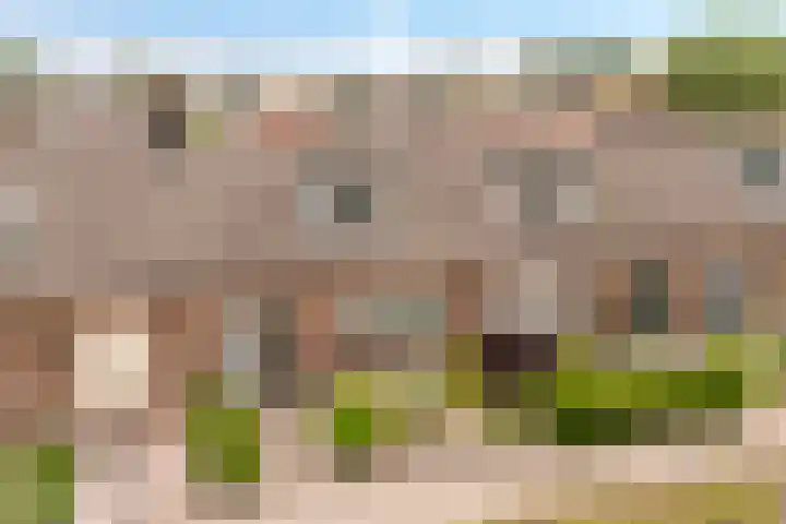 Vondellaan 40 Eerbeek thumbnail 25