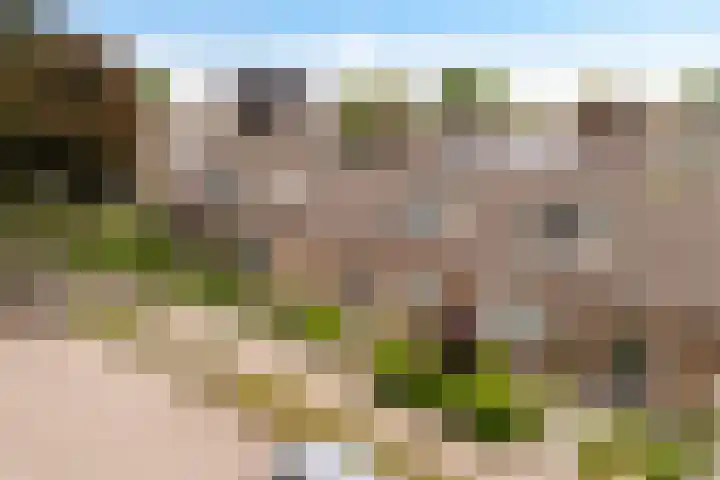 Vondellaan 40 Eerbeek thumbnail 26