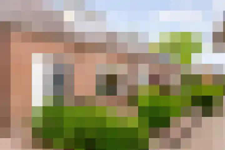 Vondellaan 40 Eerbeek thumbnail 7