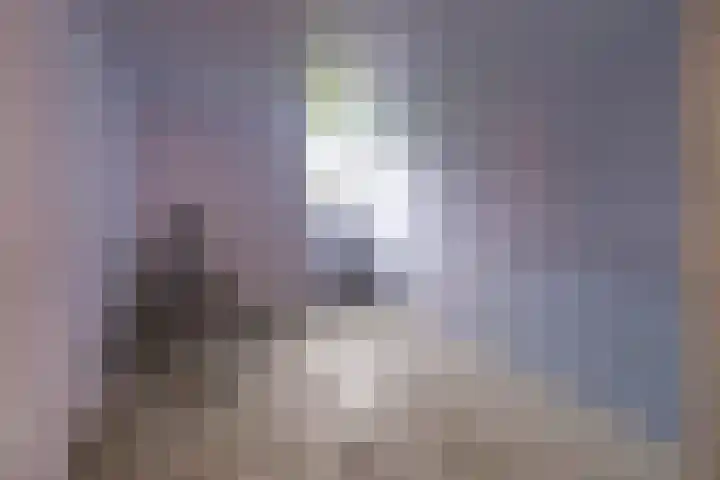 Vondellaan 40 Groningen thumbnail 35