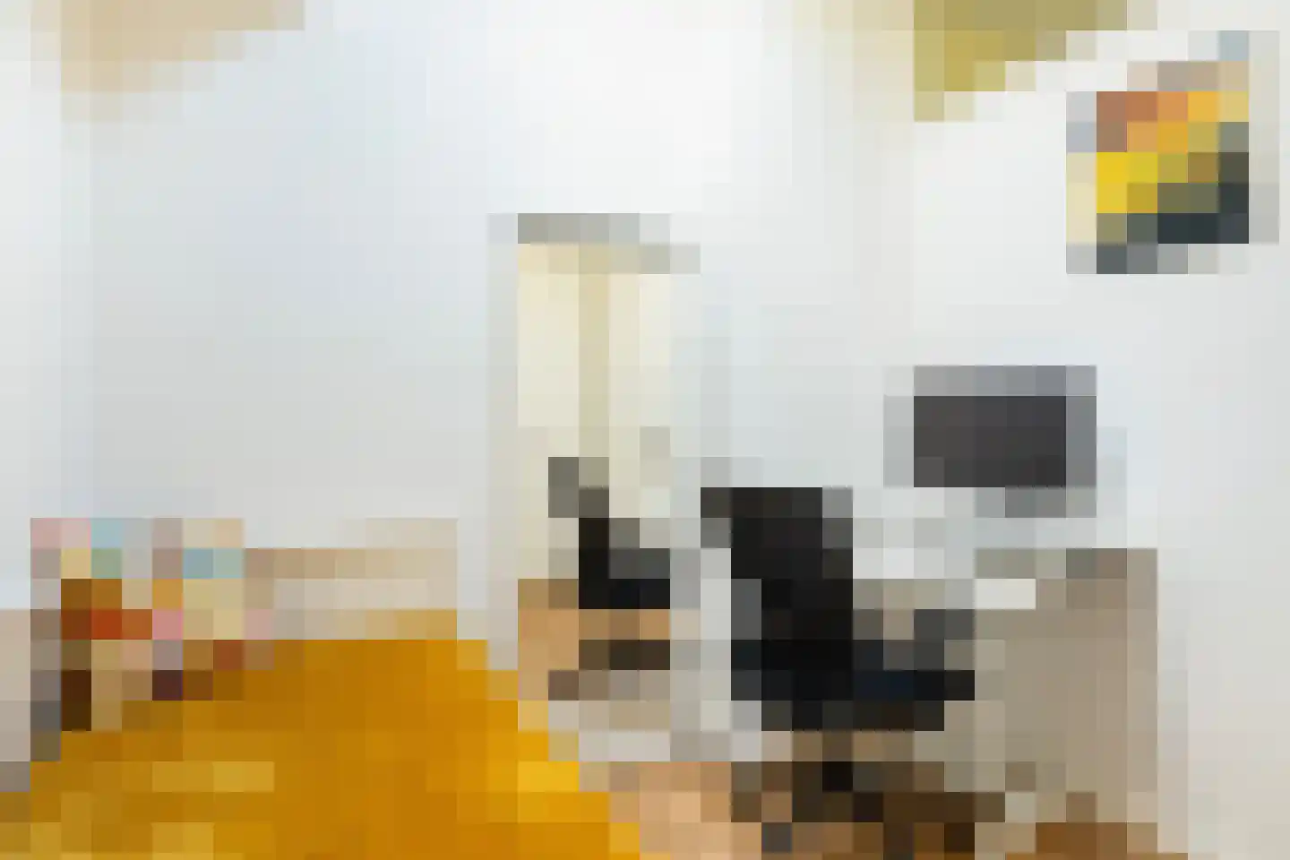 Vondellaan 41 1 Utrecht thumbnail 17