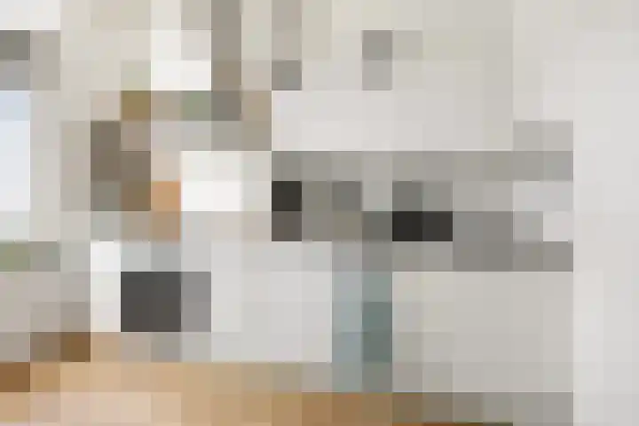 Vondellaan 41 Utrecht thumbnail 12