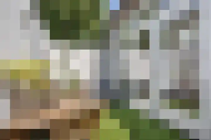 Vondellaan 41 Utrecht thumbnail 18