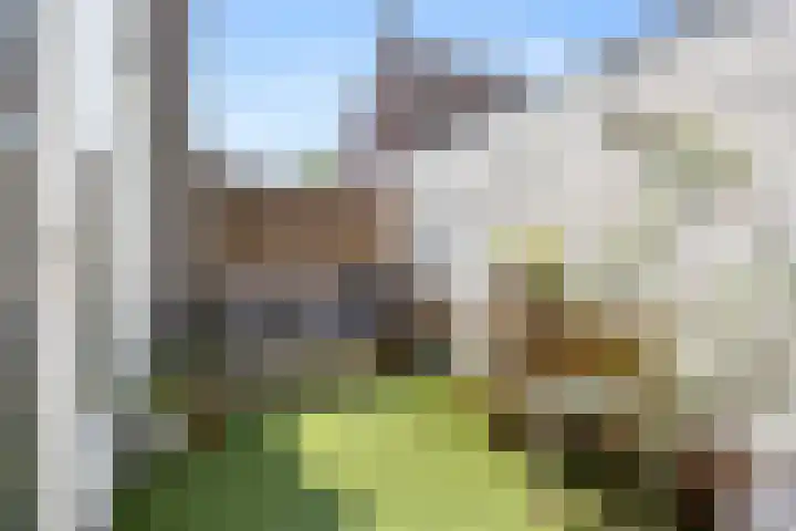 Vondellaan 41 Utrecht thumbnail 19