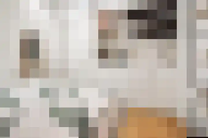 Vondellaan 41 Utrecht thumbnail 24