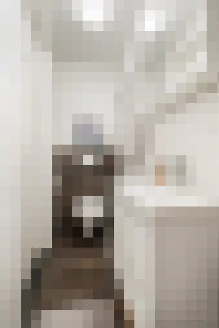 Vondellaan 41 Utrecht thumbnail 26