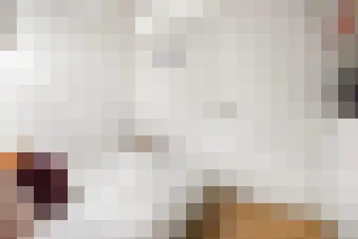 Vondellaan 41 Utrecht thumbnail 28