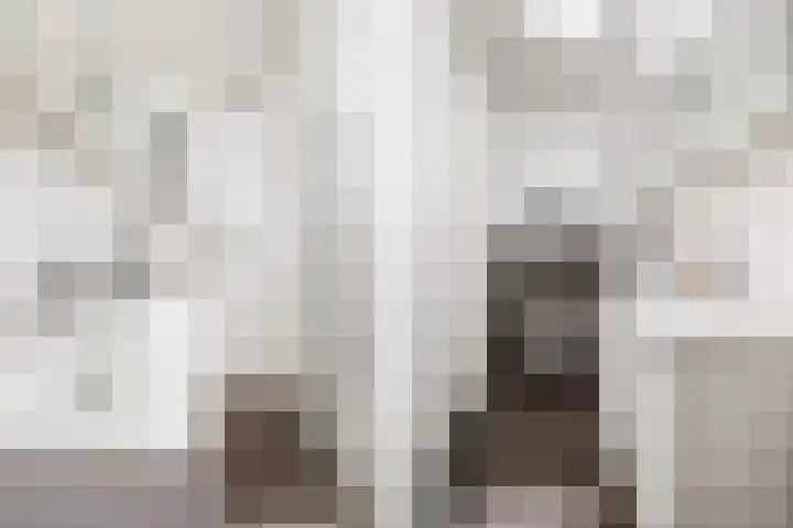 Vondellaan 41 Utrecht thumbnail 31
