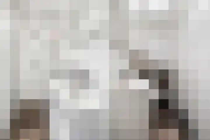 Vondellaan 41 Utrecht thumbnail 32