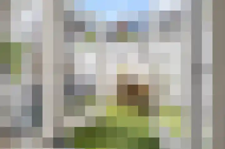 Vondellaan 41 Utrecht thumbnail 33