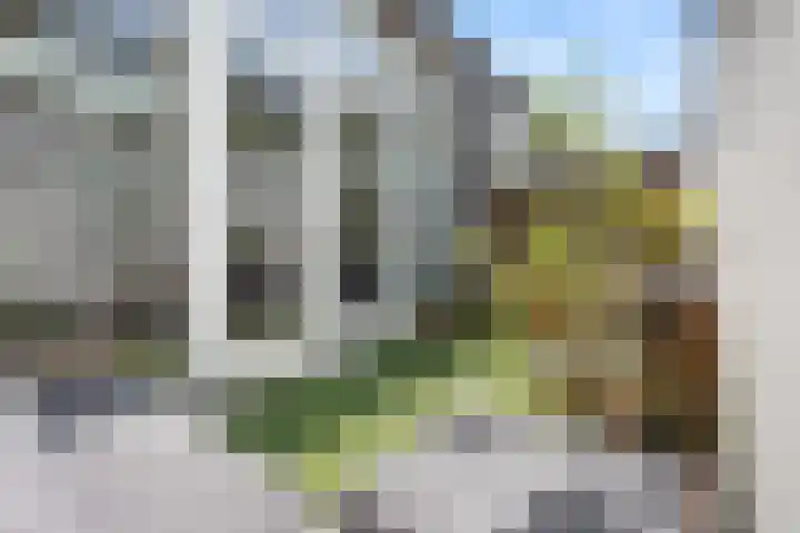 Vondellaan 41 Utrecht thumbnail 34