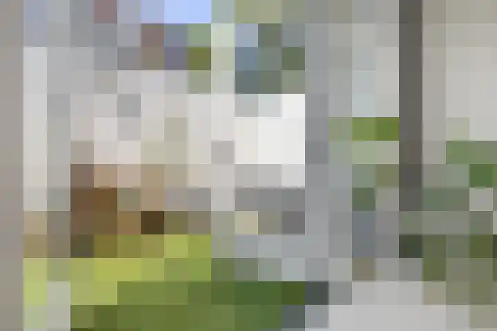 Vondellaan 41 Utrecht thumbnail 35