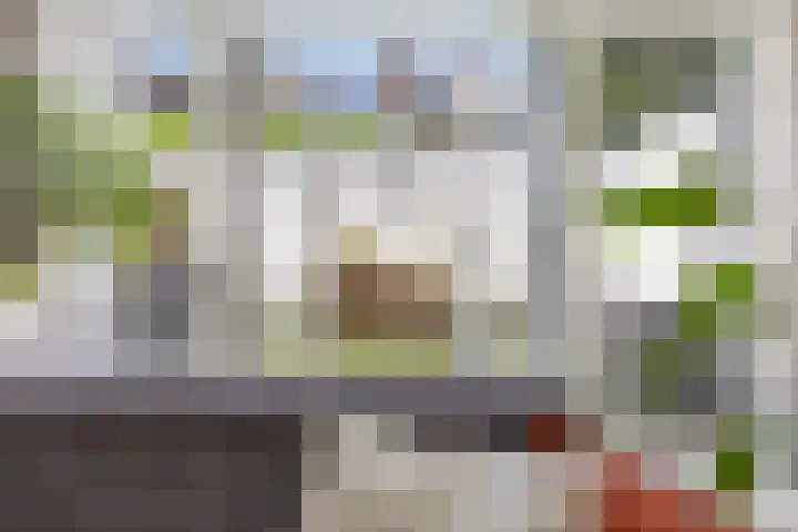 Vondellaan 41 Utrecht thumbnail 4