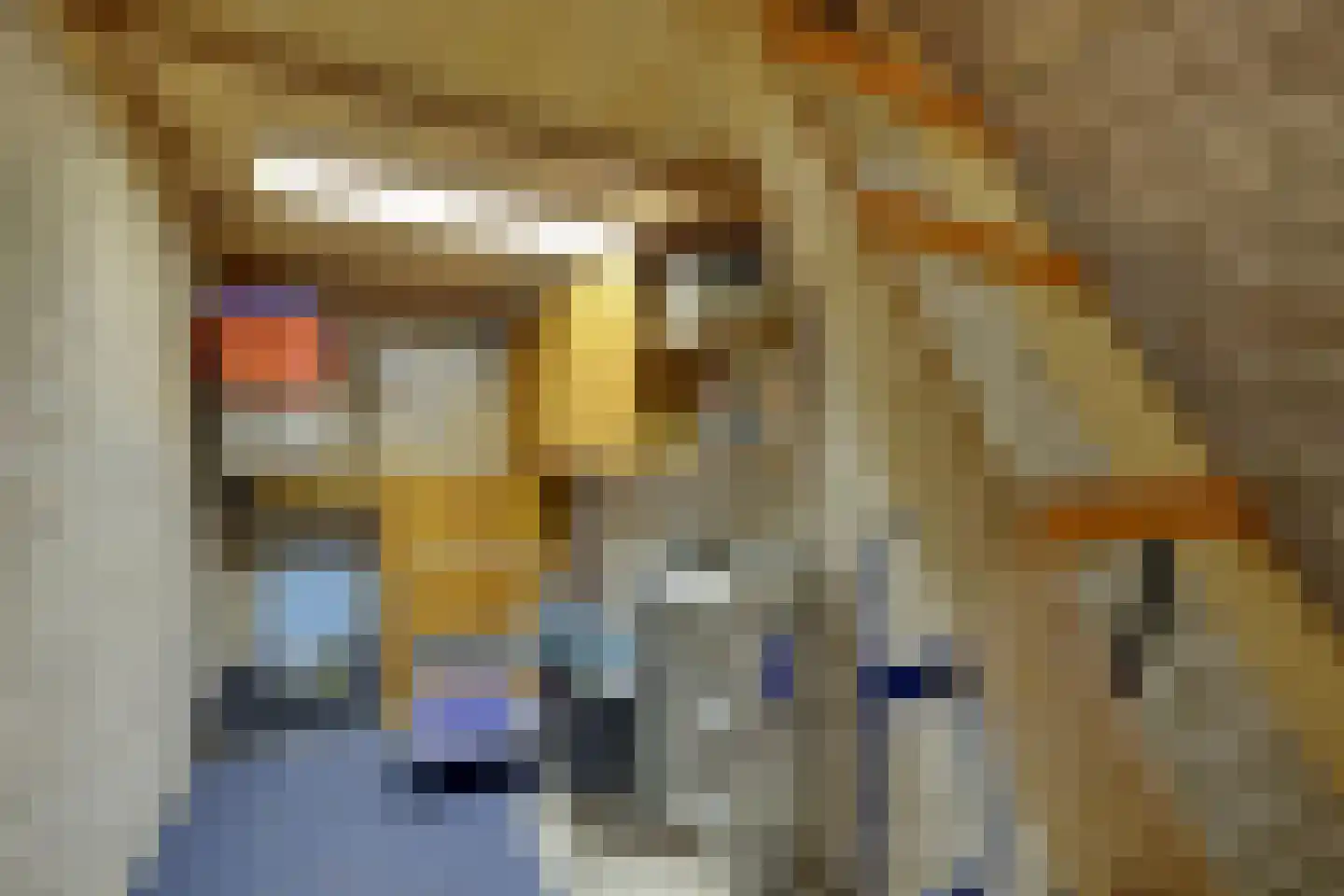 Vondellaan 41 Zevenaar thumbnail 27