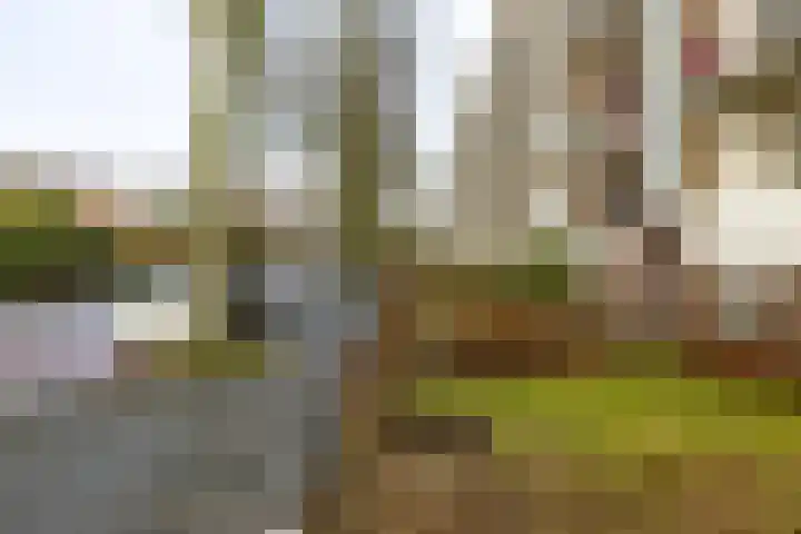 Vondellaan 412 Groningen thumbnail 10