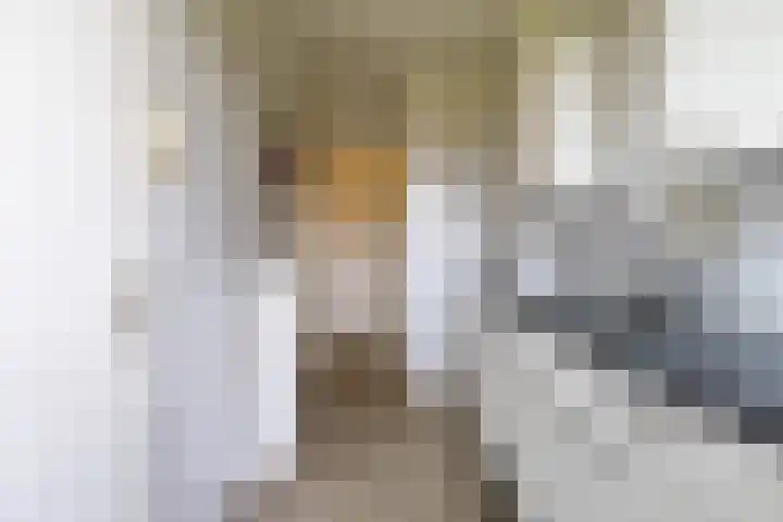 Vondellaan 412 Groningen thumbnail 24