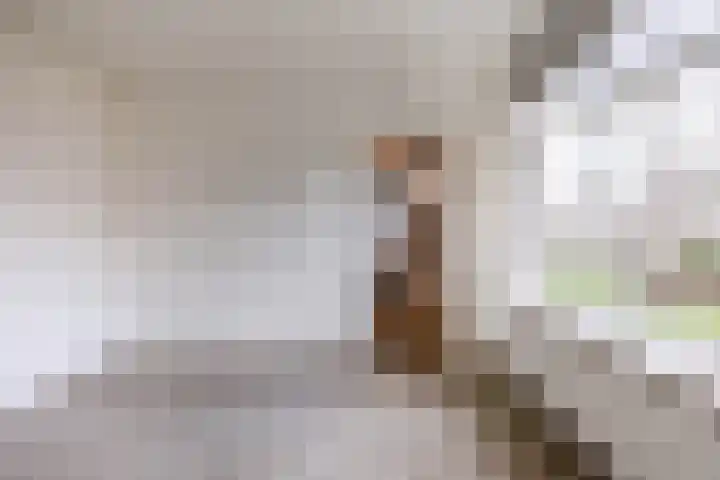 Vondellaan 412 Groningen thumbnail 36