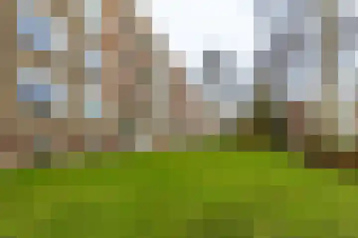 Vondellaan 412 Groningen thumbnail 5