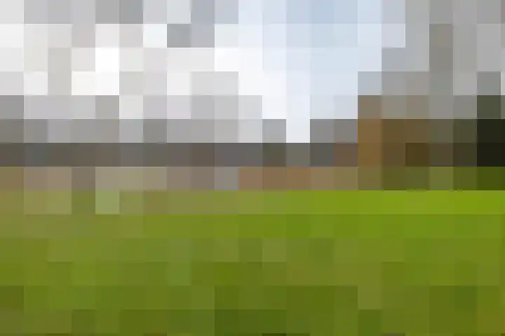 Vondellaan 412 Groningen thumbnail 7