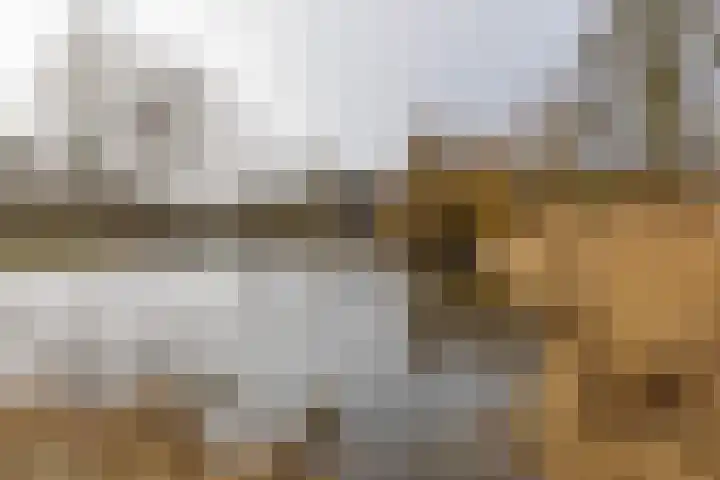 Vondellaan 412 Groningen thumbnail 8