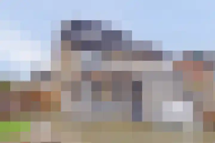 Vondellaan 42 Woudenberg thumbnail 40