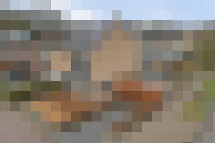Vondellaan 42 Woudenberg thumbnail 45