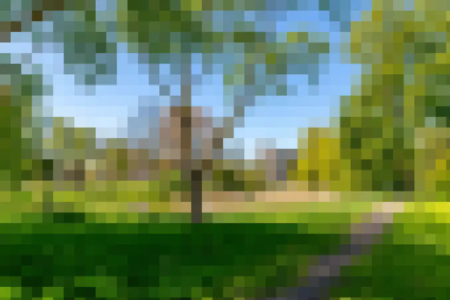 Vondellaan 422 Groningen thumbnail 5