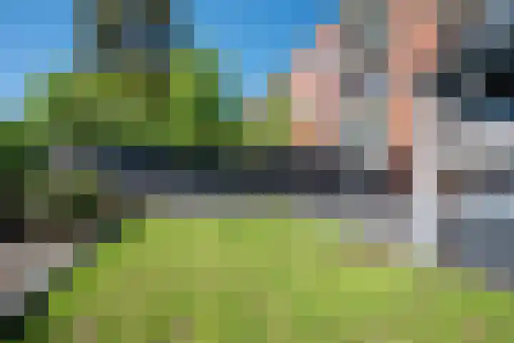 Vondellaan 43 Groningen thumbnail 34