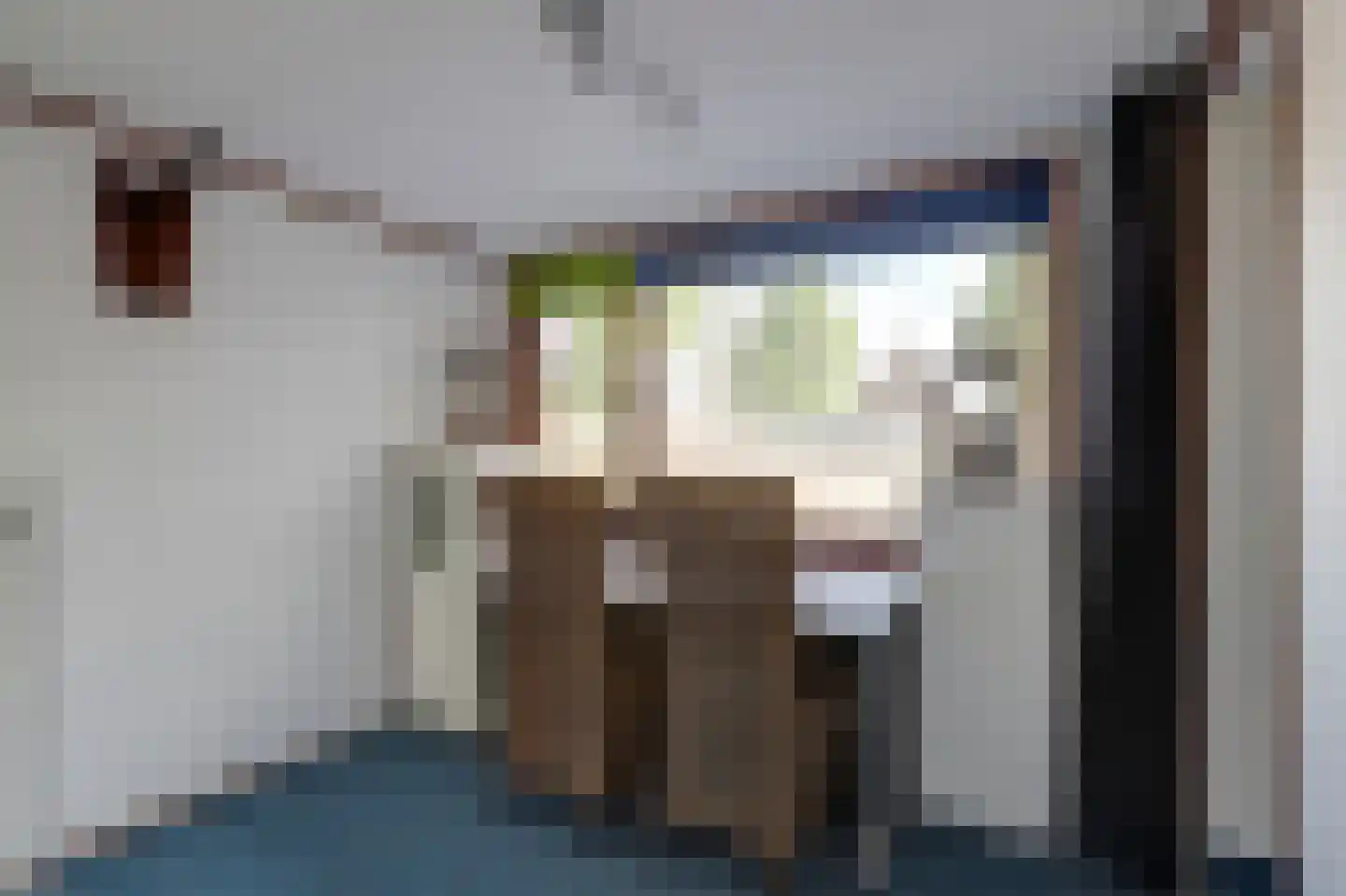 Vondellaan 47 Raamsdonksveer thumbnail 21