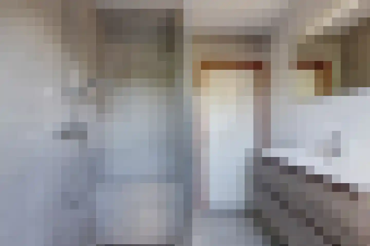 Vondellaan 47 Raamsdonksveer thumbnail 36