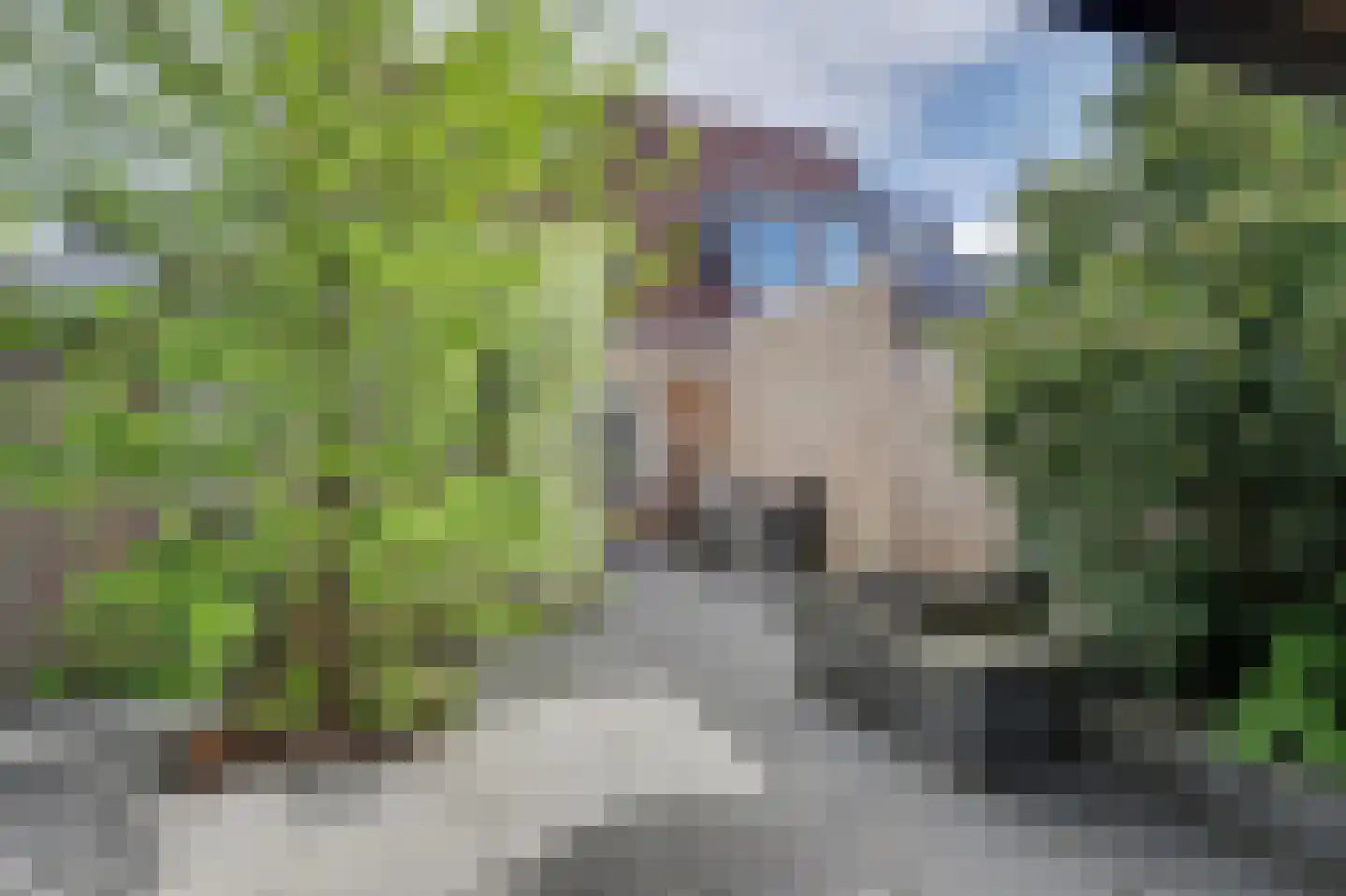 Vondellaan 47 Raamsdonksveer thumbnail 45
