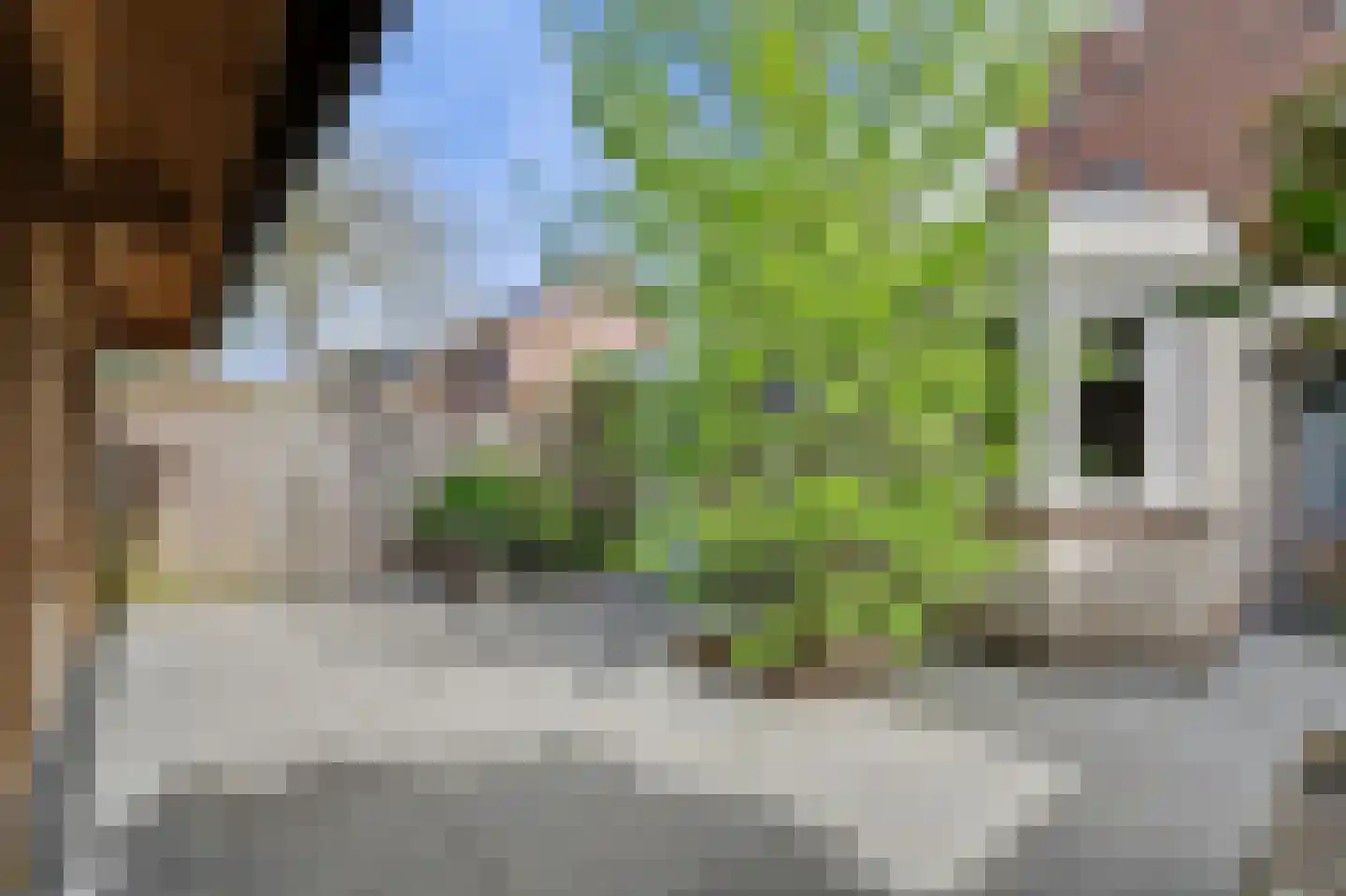 Vondellaan 47 Raamsdonksveer thumbnail 46