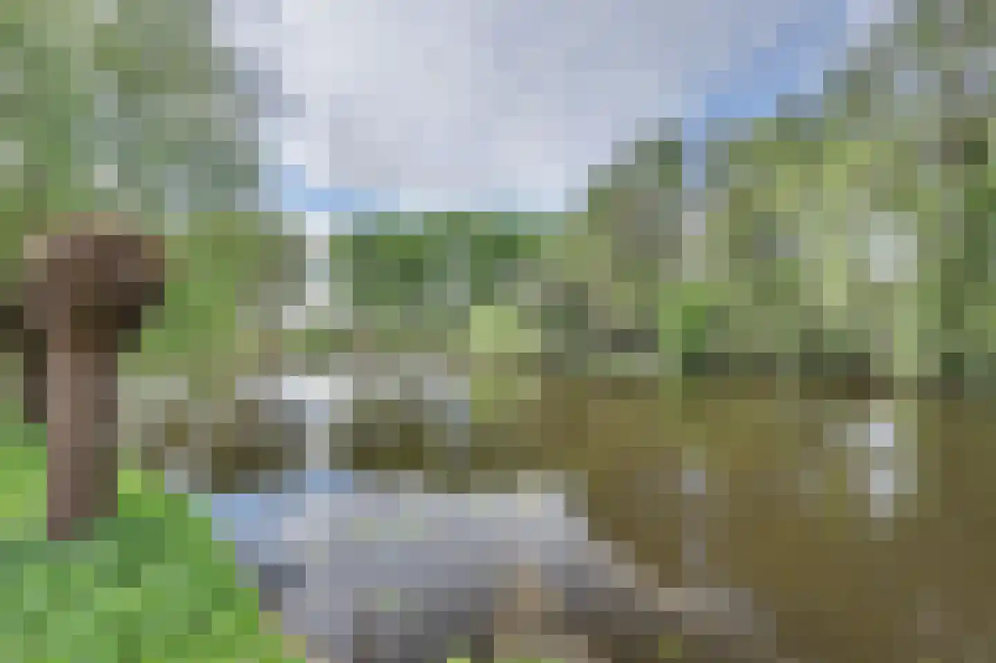 Vondellaan 47 Raamsdonksveer thumbnail 50