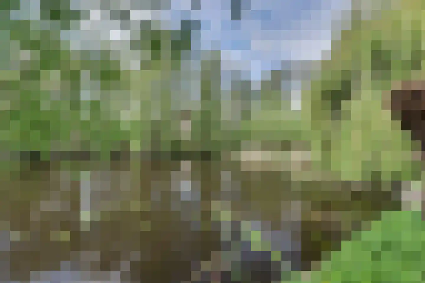 Vondellaan 47 Raamsdonksveer thumbnail 51