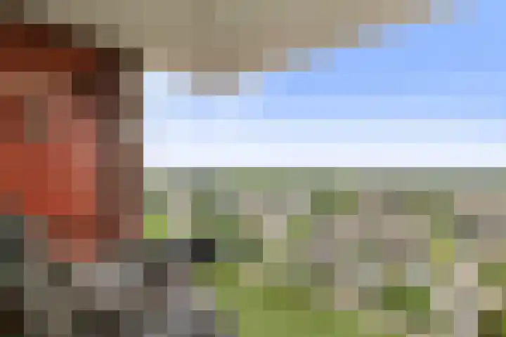 Vondellaan 47 Ridderkerk thumbnail 16