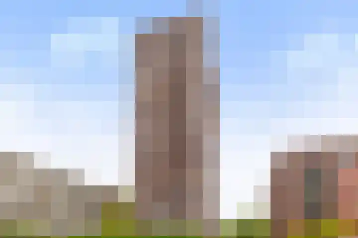 Vondellaan 47 Ridderkerk thumbnail 34