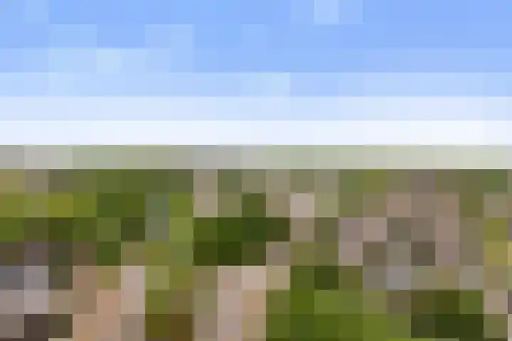 Vondellaan 47 Ridderkerk thumbnail 39