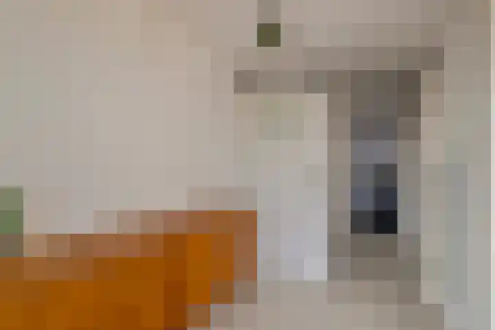 Vondellaan 48 Schiedam thumbnail 30